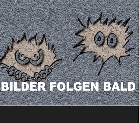 Fassadensanierung Wohnhaus